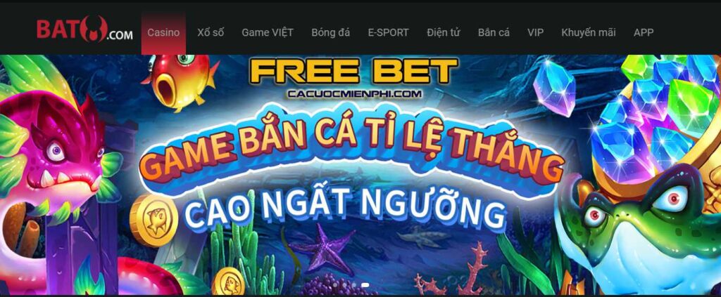 Hình minh họa — Rr88